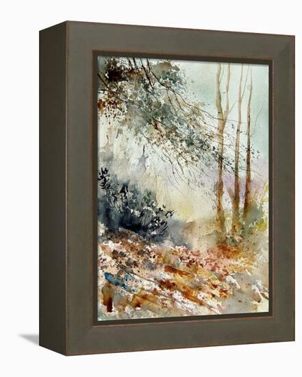 Watercolor 080605-Pol Ledent-Framed Stretched Canvas