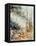 Watercolor 080605-Pol Ledent-Framed Stretched Canvas