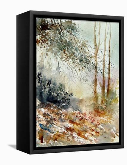 Watercolor 080605-Pol Ledent-Framed Stretched Canvas