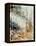 Watercolor 080605-Pol Ledent-Framed Stretched Canvas