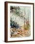 Watercolor 080605-Pol Ledent-Framed Art Print