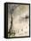 Watercolor 081204-Pol Ledent-Framed Stretched Canvas