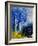 Watercolor 111107-Pol Ledent-Framed Art Print