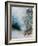 Watercolor 20807-Pol Ledent-Framed Art Print