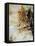 Watercolor 210505-Pol Ledent-Framed Stretched Canvas