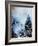 Watercolor 2512032-Pol Ledent-Framed Art Print