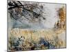 Watercolor 270207-Pol Ledent-Mounted Art Print