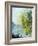 Watercolor 5575 Pond landscape-Pol Ledent-Framed Art Print