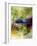 Watercolor 90801-Pol Ledent-Framed Premium Giclee Print