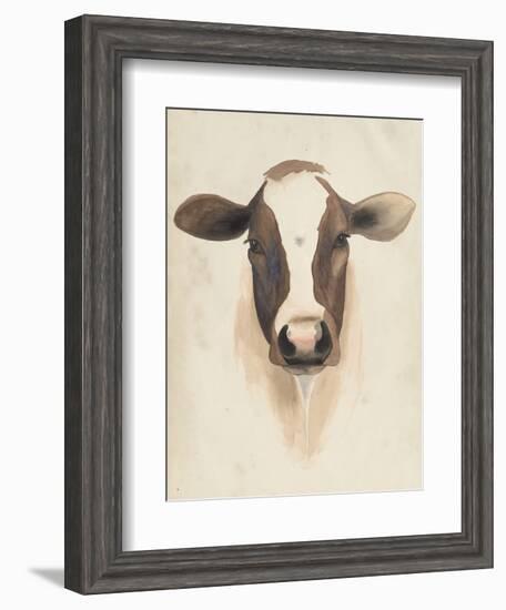 Watercolor Animal Study VII-Grace Popp-Framed Art Print