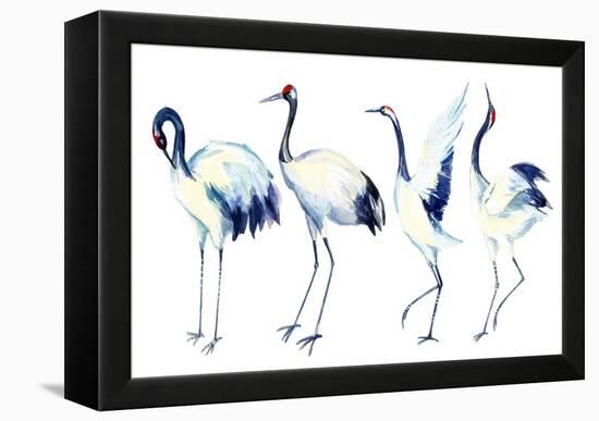 Watercolor Asian Crane Bird Set-tanycya-Framed Stretched Canvas