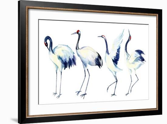 Watercolor Asian Crane Bird Set-tanycya-Framed Art Print