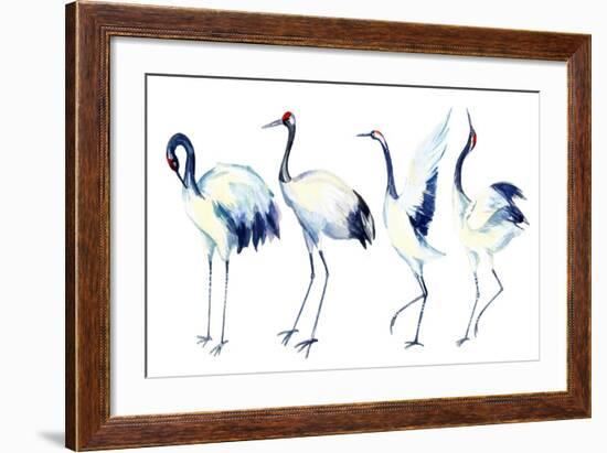 Watercolor Asian Crane Bird Set-tanycya-Framed Art Print