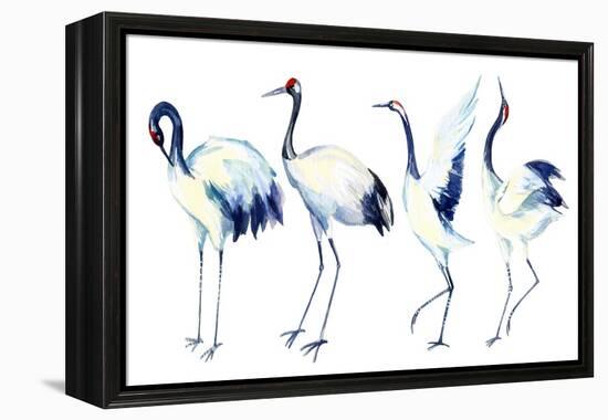 Watercolor Asian Crane Bird Set-tanycya-Framed Stretched Canvas
