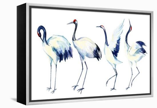 Watercolor Asian Crane Bird Set-tanycya-Framed Stretched Canvas