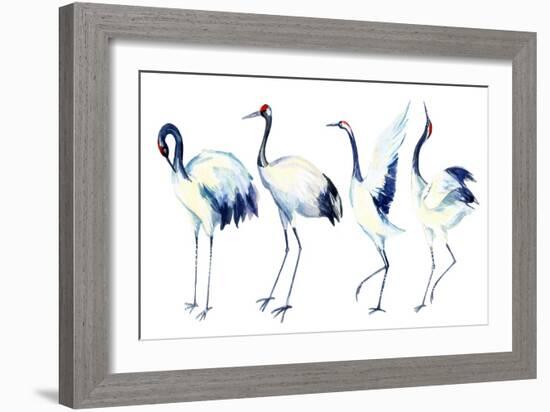 Watercolor Asian Crane Bird Set-tanycya-Framed Art Print