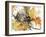 Watercolor Autumn Leaves II-Samuel Dixon-Framed Art Print