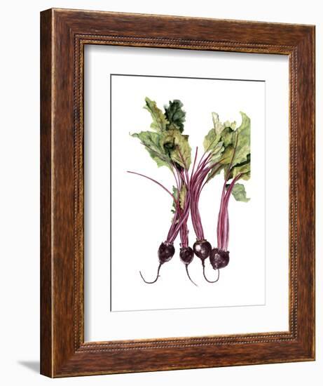 Watercolor Beets-Michael Willett-Framed Art Print