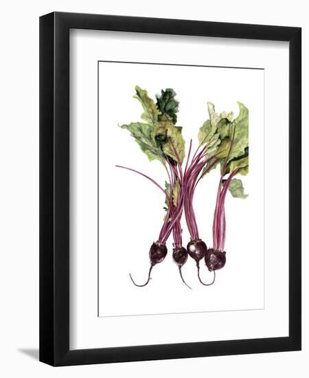 Watercolor Beets-Michael Willett-Framed Art Print