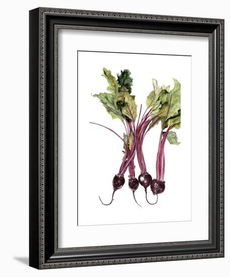 Watercolor Beets-Michael Willett-Framed Art Print