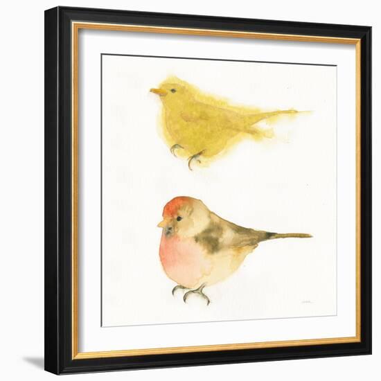 Watercolor Birds I Sq-Shirley Novak-Framed Art Print