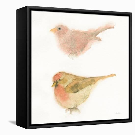 Watercolor Birds II Sq-Shirley Novak-Framed Stretched Canvas
