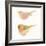 Watercolor Birds II Sq-Shirley Novak-Framed Art Print