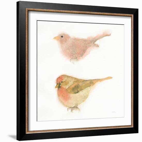 Watercolor Birds II Sq-Shirley Novak-Framed Art Print