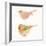 Watercolor Birds II Sq-Shirley Novak-Framed Art Print