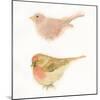 Watercolor Birds II Sq-Shirley Novak-Mounted Art Print