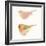 Watercolor Birds II Sq-Shirley Novak-Framed Art Print