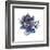 Watercolor Black Succulent-Eisfrei-Framed Art Print