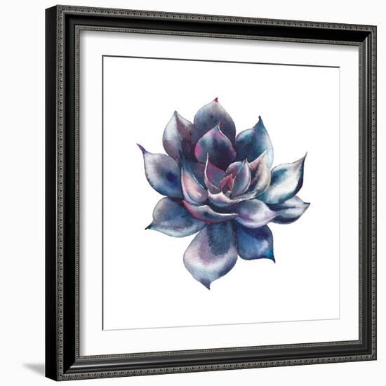 Watercolor Black Succulent-Eisfrei-Framed Premium Giclee Print