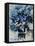 Watercolor Blue Bunch-Pol Ledent-Framed Stretched Canvas