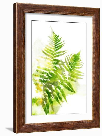 Watercolor Botanicals 3-THE Studio-Framed Giclee Print