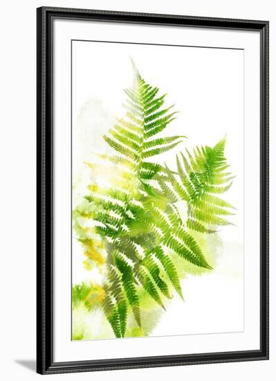 Watercolor Botanicals 3-THE Studio-Framed Giclee Print