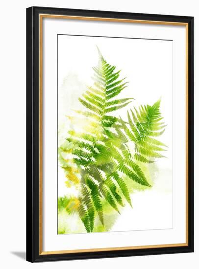 Watercolor Botanicals 3-THE Studio-Framed Premium Giclee Print