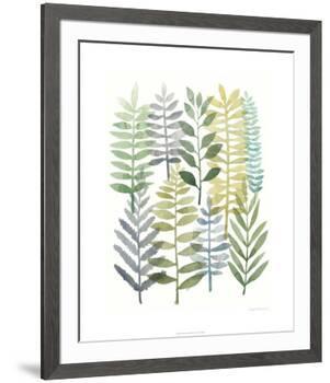 Watercolor Botany I-Megan Meagher-Framed Limited Edition