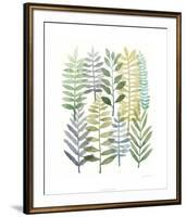 Watercolor Botany I-Megan Meagher-Framed Limited Edition
