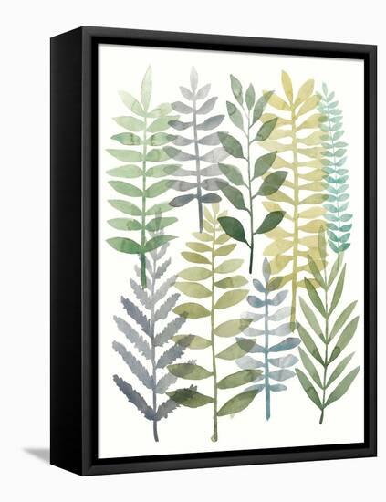 Watercolor Botany I-Megan Meagher-Framed Stretched Canvas