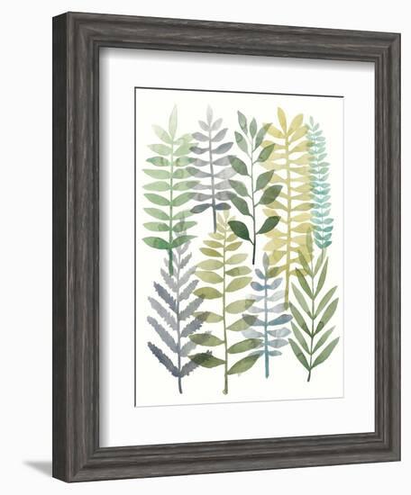 Watercolor Botany I-Megan Meagher-Framed Art Print