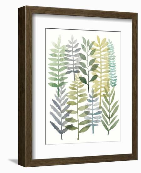 Watercolor Botany I-Megan Meagher-Framed Premium Giclee Print