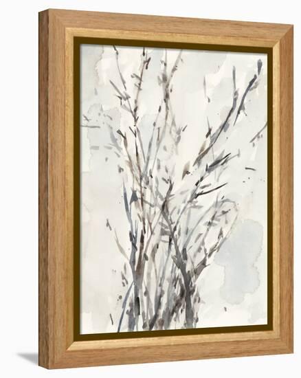 Watercolor Branches I-Samuel Dixon-Framed Stretched Canvas