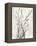 Watercolor Branches I-Samuel Dixon-Framed Stretched Canvas