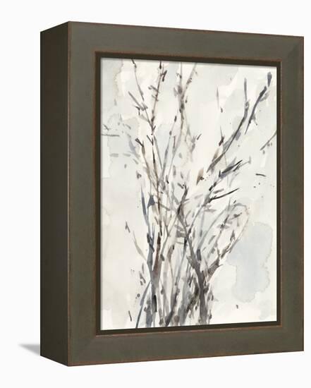 Watercolor Branches I-Samuel Dixon-Framed Stretched Canvas