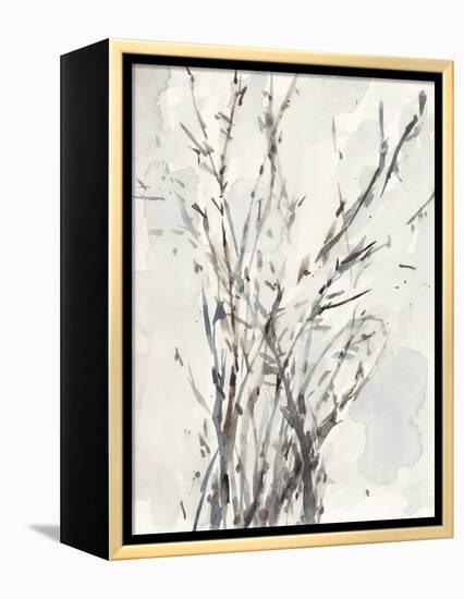 Watercolor Branches I-Samuel Dixon-Framed Stretched Canvas