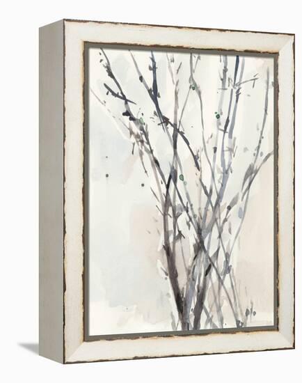 Watercolor Branches II-Samuel Dixon-Framed Stretched Canvas