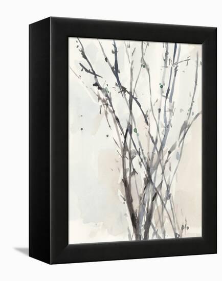 Watercolor Branches II-Samuel Dixon-Framed Stretched Canvas