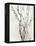 Watercolor Branches II-Samuel Dixon-Framed Stretched Canvas