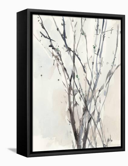 Watercolor Branches II-Samuel Dixon-Framed Stretched Canvas